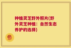 种植灵芝野外照片(野外灵芝种植：自然生态养护的选择)