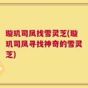 璇玑司凤找雪灵芝(璇玑司凤寻找神奇的雪灵芝)