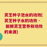 灵芝种子泡水的功效(灵芝种子水的功效 - 新鲜灵芝营养和功效的来源)