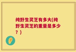 纯野生灵芝有多大(纯野生灵芝的重量是多少？)