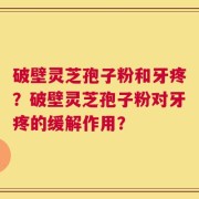 破壁灵芝孢子粉和牙疼？破壁灵芝孢子粉对牙疼的缓解作用？