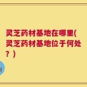 灵芝药材基地在哪里(灵芝药材基地位于何处？)
