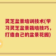 灵芝盆景培训技术(学习灵芝盆景栽培技巧，打造自己的盆景花园)