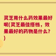 灵芝用什么药效果最好呢(灵芝最佳搭档，效果最好的药物是什么？)