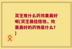 灵芝用什么药效果最好呢(灵芝最佳搭档，效果最好的药物是什么？)
