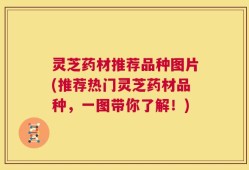 灵芝药材推荐品种图片(推荐热门灵芝药材品种，一图带你了解！)