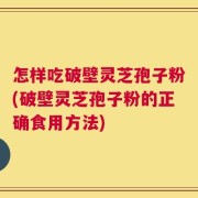 怎样吃破壁灵芝孢子粉(破壁灵芝孢子粉的正确食用方法)
