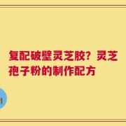 复配破壁灵芝胶？灵芝孢子粉的制作配方