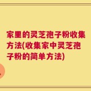 家里的灵芝孢子粉收集方法(收集家中灵芝孢子粉的简单方法)