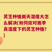 灵芝种植雨天湿度大怎么解决(如何应对雨季高湿度下的灵芝种植？)