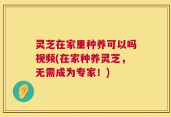 灵芝在家里种养可以吗视频(在家种养灵芝，无需成为专家！)