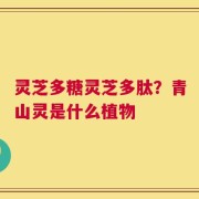 灵芝多糖灵芝多肽？青山灵是什么植物
