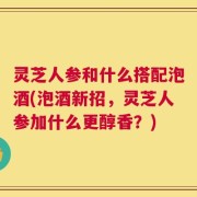 灵芝人参和什么搭配泡酒(泡酒新招，灵芝人参加什么更醇香？)