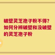 破壁灵芝孢子粉不得？如何分辨破壁和没破壁的灵芝孢子粉