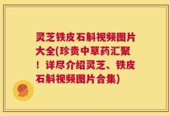 灵芝铁皮石斛视频图片大全(珍贵中草药汇聚！详尽介绍灵芝、铁皮石斛视频图片合集)