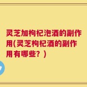 灵芝加枸杞泡酒的副作用(灵芝枸杞酒的副作用有哪些？)