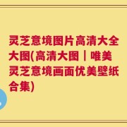 灵芝意境图片高清大全大图(高清大图｜唯美灵芝意境画面优美壁纸合集)
