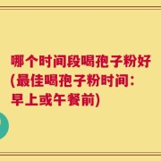 哪个时间段喝孢子粉好(最佳喝孢子粉时间：早上或午餐前)