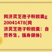 同济灵芝孢子粉胶囊g20041478(同济灵芝孢子粉胶囊：自然养生，强身健体)