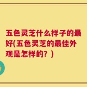 五色灵芝什么样子的最好(五色灵芝的最佳外观是怎样的？)