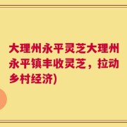 大理州永平灵芝大理州永平镇丰收灵芝，拉动乡村经济)
