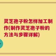 灵芝孢子粉怎样加工制作(制作灵芝孢子粉的方法与步骤详解)