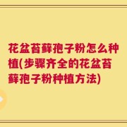 花盆苔藓孢子粉怎么种植(步骤齐全的花盆苔藓孢子粉种植方法)
