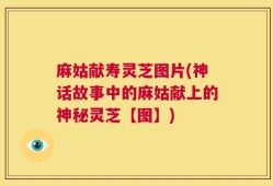 麻姑献寿灵芝图片(神话故事中的麻姑献上的神秘灵芝【图】)