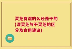 灵芝有湿的么还是干的(湿灵芝与干灵芝的区分及食用建议)