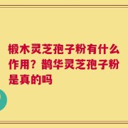椴木灵芝孢子粉有什么作用？鹊华灵芝孢子粉是真的吗