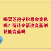 喝灵芝孢子粉尿会变色吗？荷花令箭浇变蓝剂花能变蓝吗