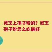 灵芝上孢子粉的？灵芝孢子粉怎么吃最好