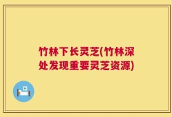 竹林下长灵芝(竹林深处发现重要灵芝资源)
