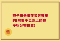 孢子粉是附在灵芝哪里的(附着于灵芝上的孢子粉分布位置)