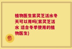 植物医生紫灵芝活水冬天可以用吗(紫灵芝活水 适合冬季使用的植物医生)