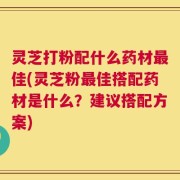 灵芝打粉配什么药材最佳(灵芝粉最佳搭配药材是什么？建议搭配方案)