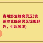 贵州野生蜂窝灵芝(贵州珍贵蜂窝灵芝惊现野外，引起关注)