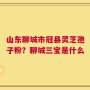 山东聊城市冠县灵芝孢子粉？聊城三宝是什么