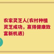 农家灵芝人(农村种植灵芝成功，赢得健康致富新机遇)