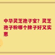 中华灵芝孢子宝？灵芝孢子粉哪个牌子好又实惠