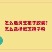 怎么选灵芝孢子胶囊？怎么选择灵芝孢子粉