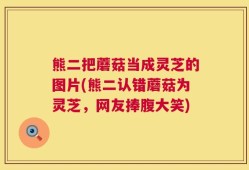 熊二把蘑菇当成灵芝的图片(熊二认错蘑菇为灵芝，网友捧腹大笑)