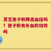 灵芝孢子粉降高血压吗？孢子粉有补血的功效吗