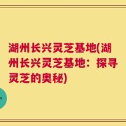 湖州长兴灵芝基地(湖州长兴灵芝基地：探寻灵芝的奥秘)