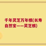 千年灵芝万年根(长寿自然宝——灵芝根)