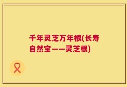 千年灵芝万年根(长寿自然宝——灵芝根)