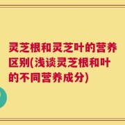 灵芝根和灵芝叶的营养区别(浅谈灵芝根和叶的不同营养成分)