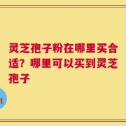 灵芝孢子粉在哪里买合适？哪里可以买到灵芝孢子
