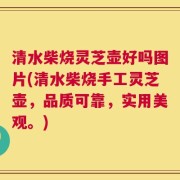 清水柴烧灵芝壶好吗图片(清水柴烧手工灵芝壶，品质可靠，实用美观。)