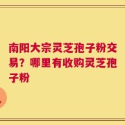 南阳大宗灵芝孢子粉交易？哪里有收购灵芝孢子粉